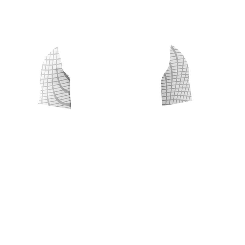 Maillot Foot Porto Dos